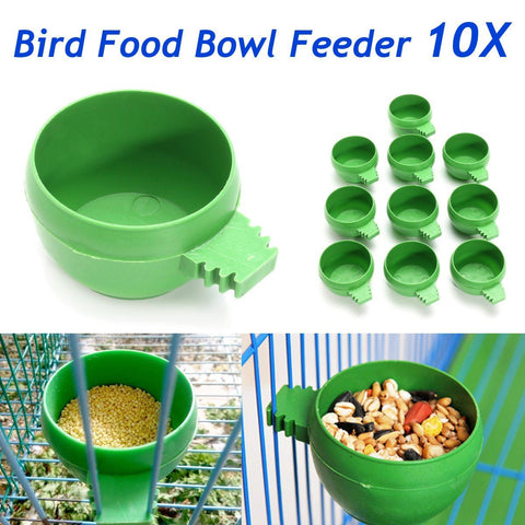 Bird Feeding Bowl