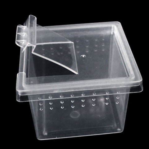 Mini Portable Clear Plastic Pet Terrarium