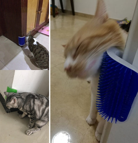 Cat Mini Hair Brush